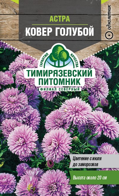 Семена Тимирязевский питомник Астра Ковер голубой, 1г