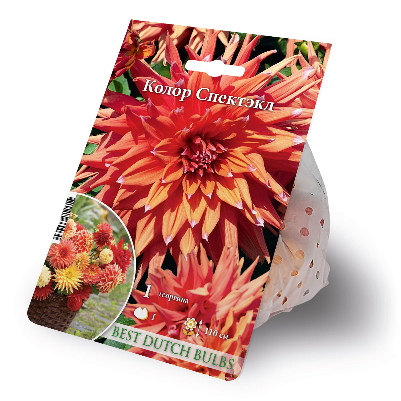 Георгина Колор Спектэкл, 150г