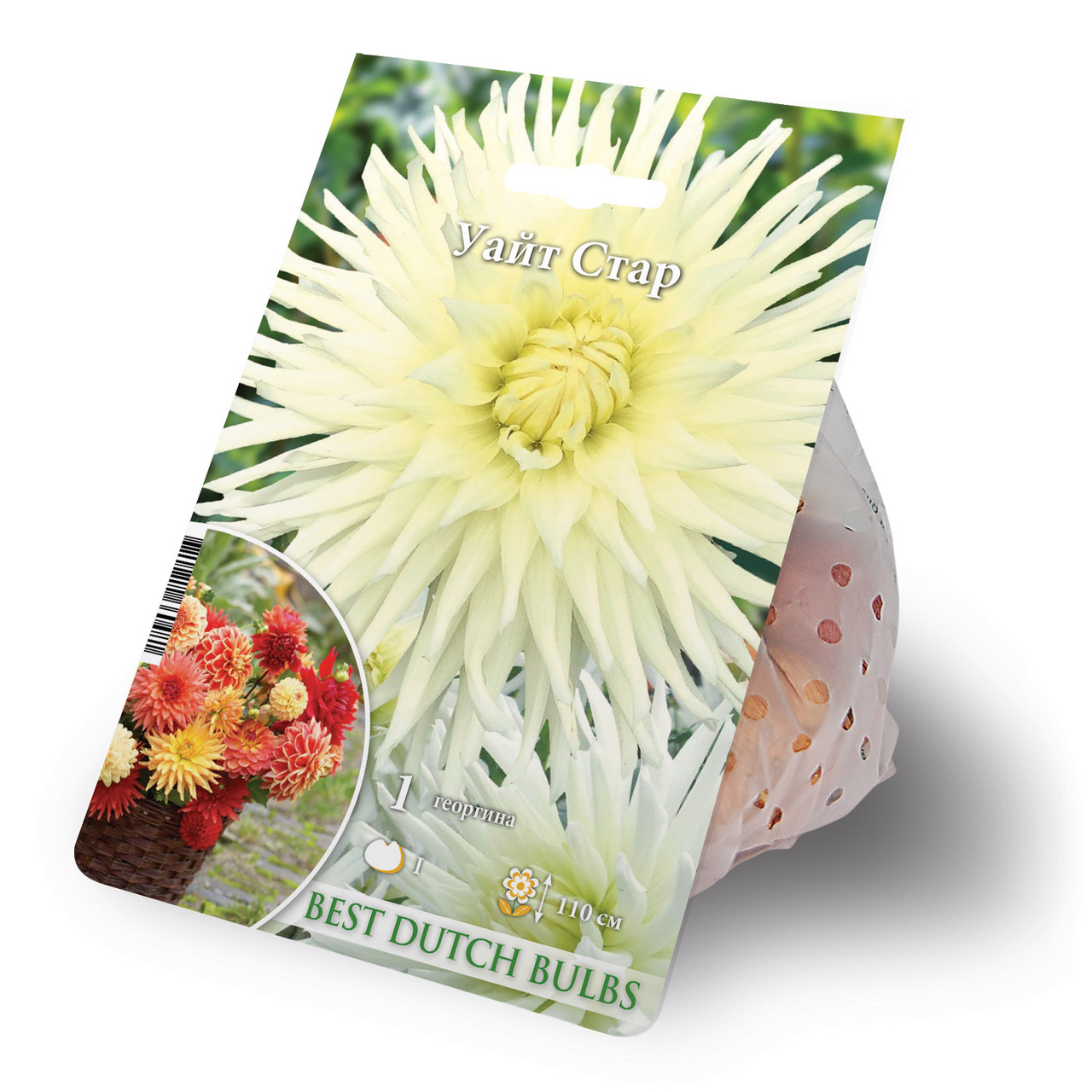 Георгина Уайт стар, 150г