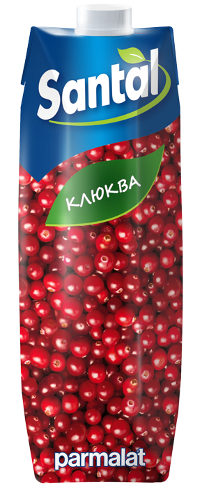 Напиток сокосодержащий Santal клюква, 1л