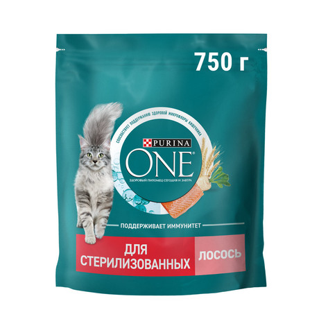 Buy purina one cat food deals