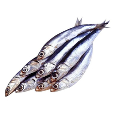 Хамса неразделанная охлажденная, ~9-12кг