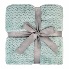 Tarrington House Плед микровелюр мятный 250г, 240 x 260см