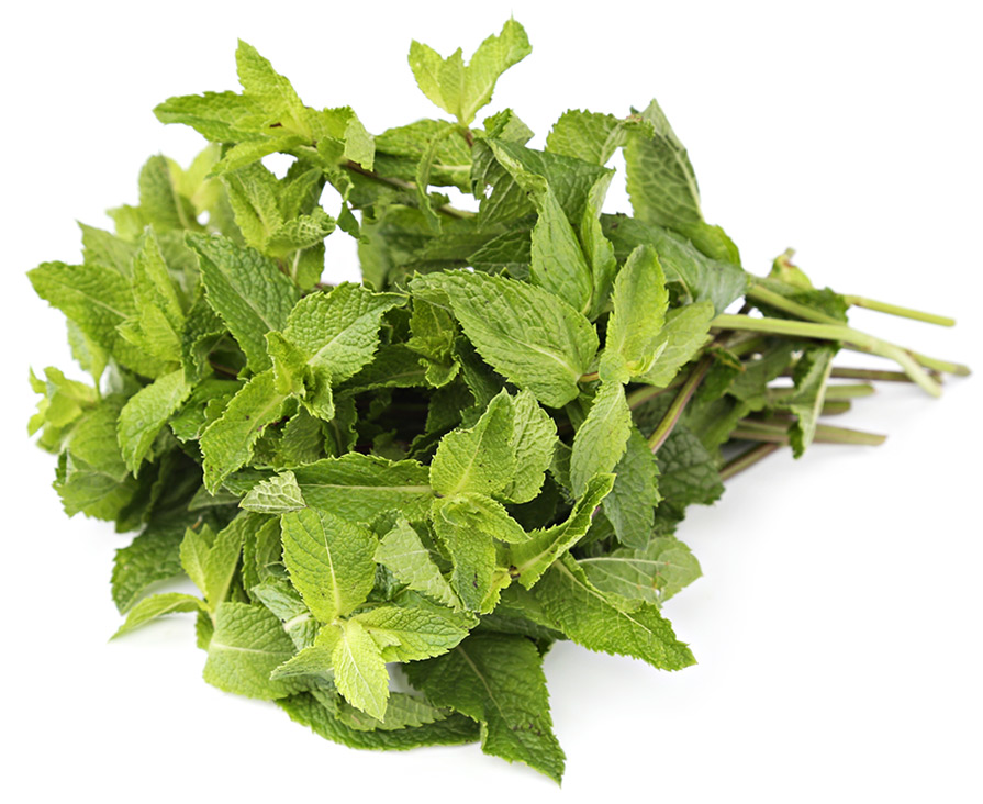 500ГР - МЯТА КОРОБ