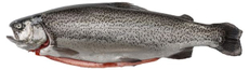 Форель горная потрошеная с головой охлажденная, ~1кг