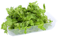 Кинза Экогеос 70г