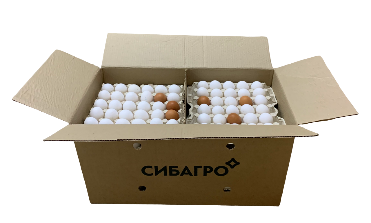 Яйцо куриное Сибагро С1, 360шт
