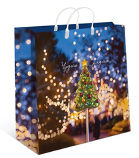 Сумка пластиковая Арт и Дизайн Новый год 300 х 300мм
