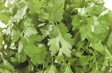 Петрушка зеленая свежая, 50г