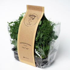 Микрозелень горох Ifermer 100г