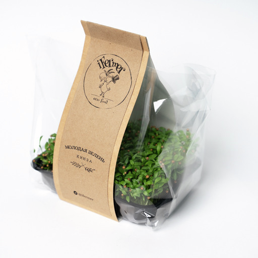Микрозелень Ifermer кинза, 50г
