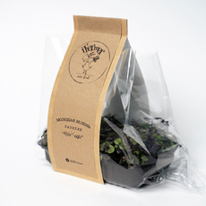 Микрозелень Ifermer базилик, 50г