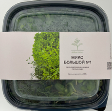 Микрозелень большой микс №1, 130г