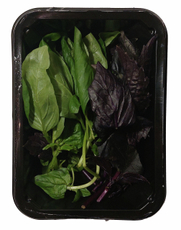 Базилик Будем здоровы микс, 30г