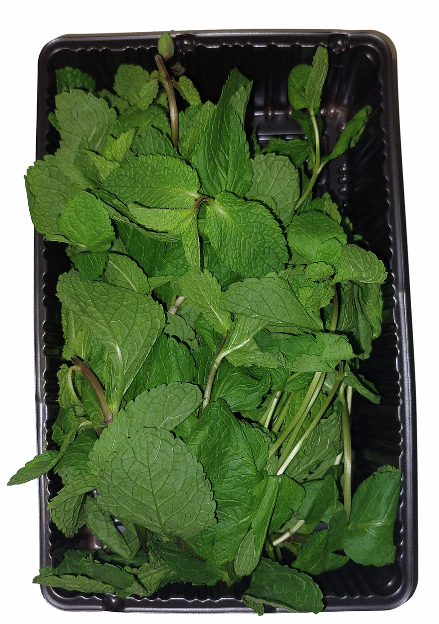 Мята Будем здоровы 50г