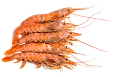 Креветки красные с головой 10/20