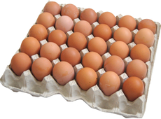 Яйцо куриное Желток солнца С1, 30шт