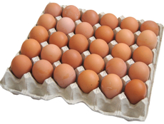 Яйцо куриное Желток солнца С1, 360шт