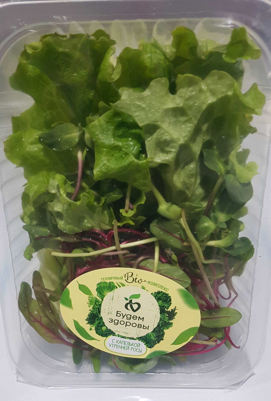 Салатная смесь Будем здоровы с микрозеленью, 125г