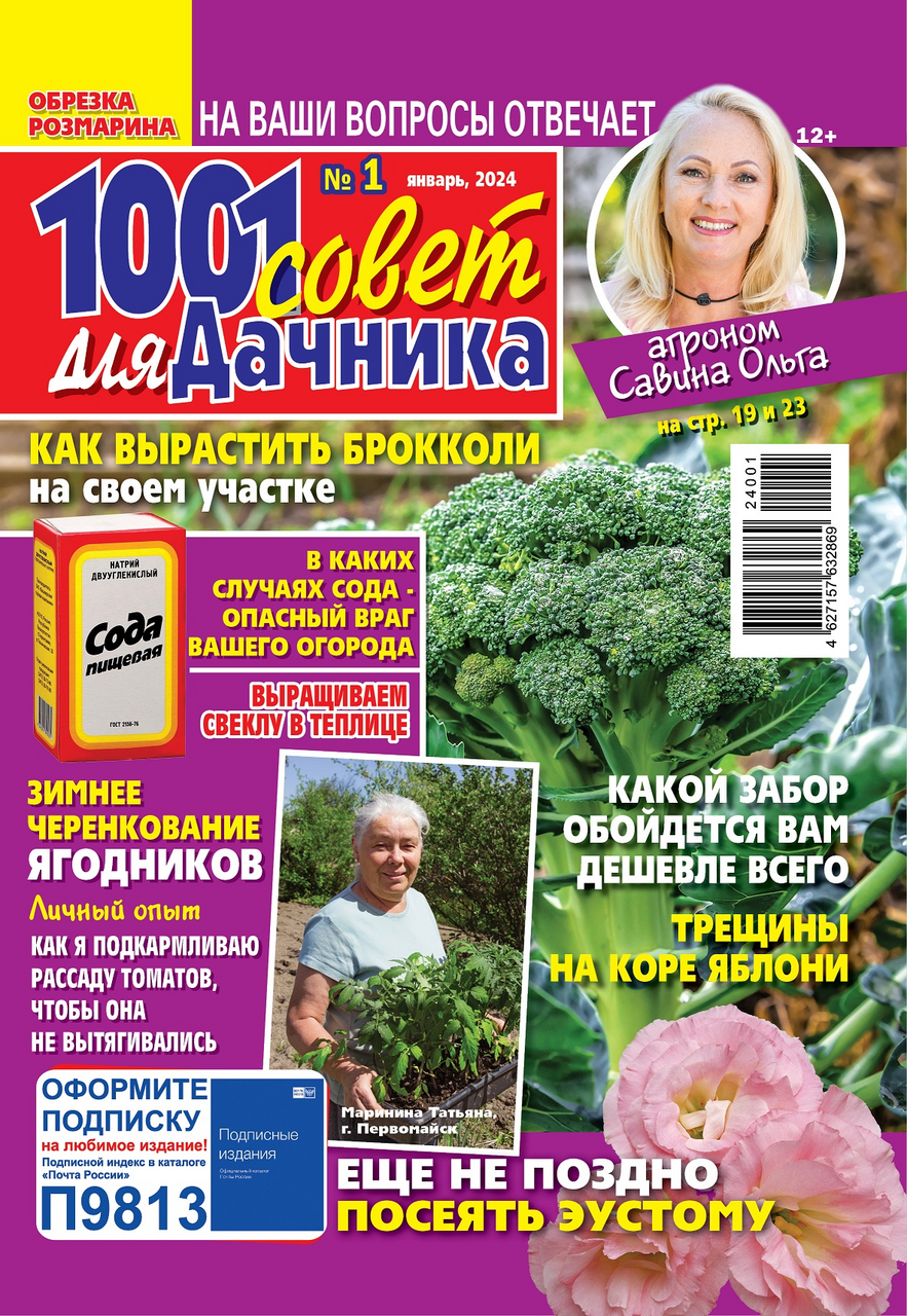 Изображение товара Журнал 1001 совет для дачника