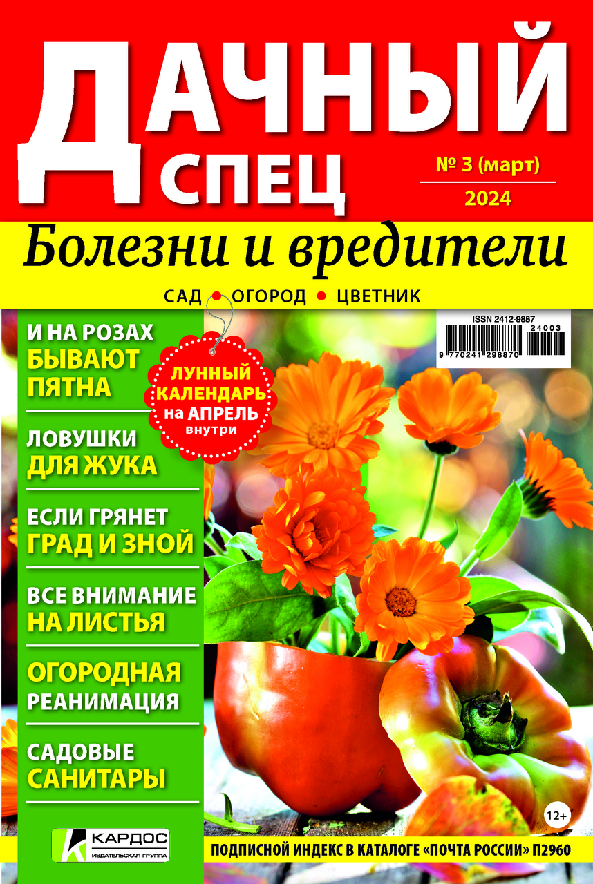 Журнал Дачный спец купить с доставкой на дом, цены в интернет-магазине