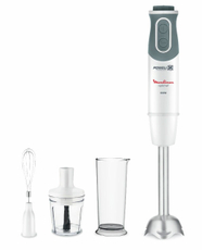 Блендер погружной Moulinex DD642132