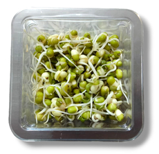 Проростки Маш, 130г