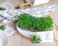 Микрозелень Мелисса Ароматный Лимон, 160г