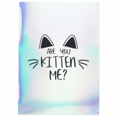 Папка-уголок Colorio Магический мир.Веселый кот А4