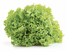 Салат Фриллис, 100г