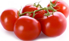 Томаты на ветке