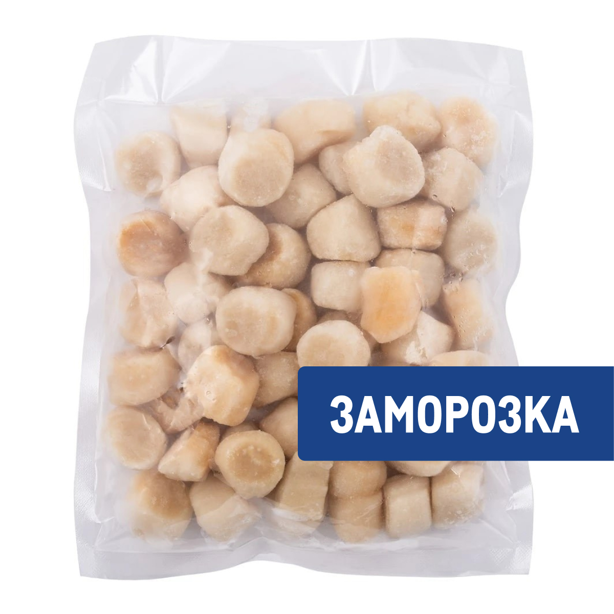 Гребешок вес. Гребешок 80/100 это. морской гребешок дальневосточный. гребешок 10/20. гребешок морской 20/30.