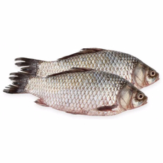 Карась охлажденный
