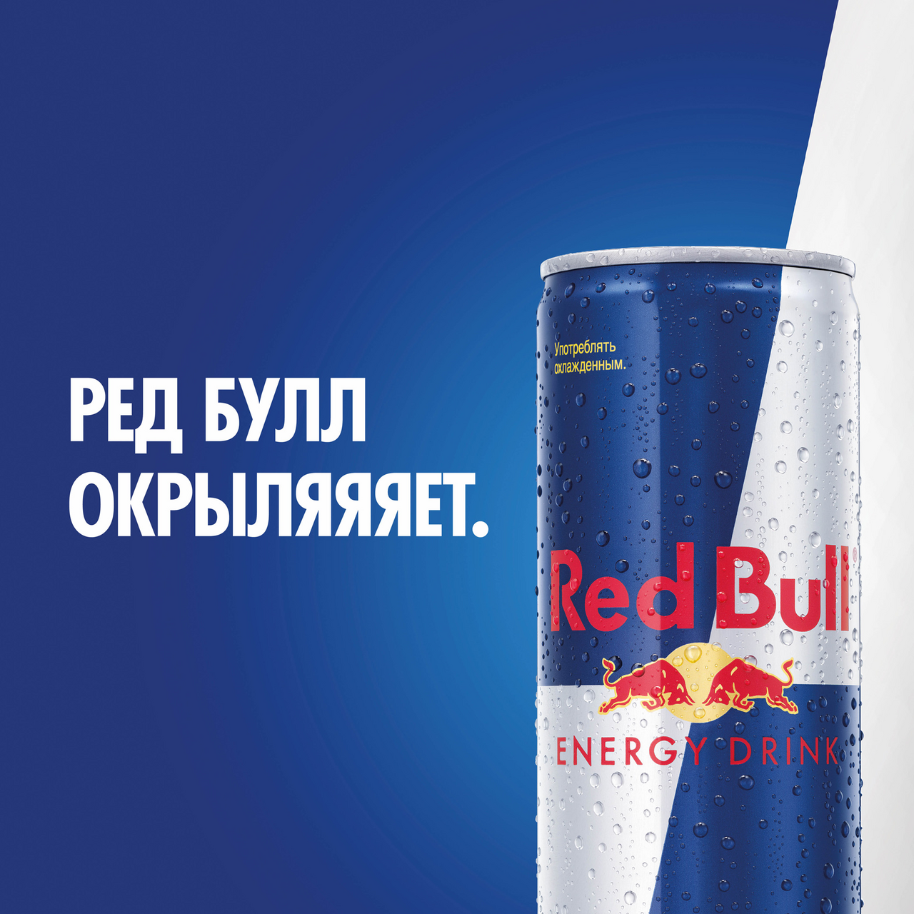 Ред булл пятерочка