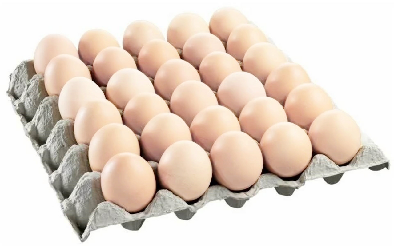 Яйцо куриное Выксунская птица С1 ГОСТ, 360шт
