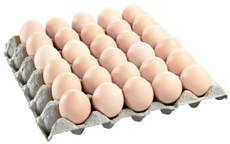 Яйцо куриное Выксунская птица С1 ГОСТ, 360шт