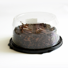 Торт шоколадное танго, 770г