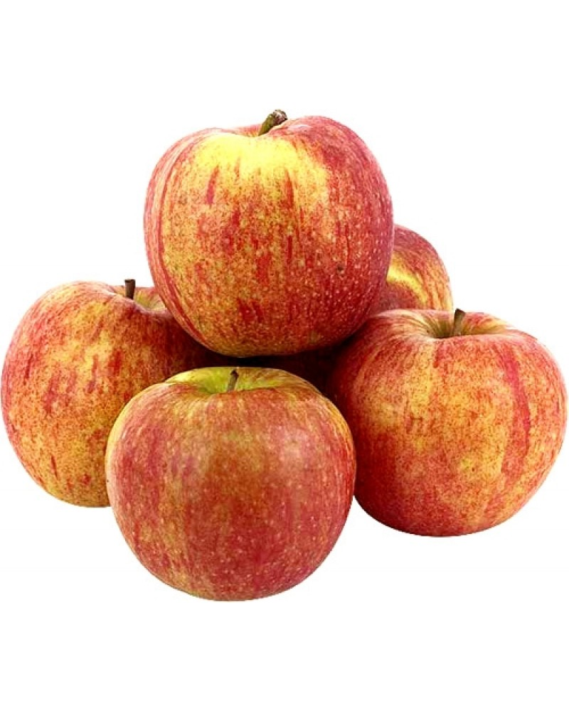 Яблоки Джонагоред, весовые