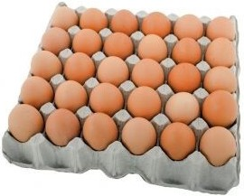 Яйцо куриное Красногорка С1, 180шт