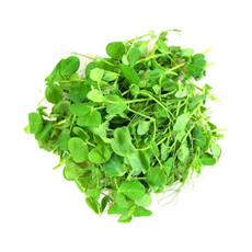 Микролистья гороха, 50г