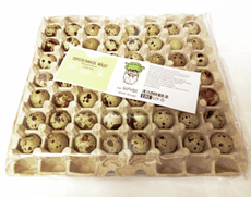 Яйцо перепелиное КФХ Борода большое, 56шт