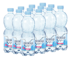 Вода Сенежская питьевая газированная, 500мл x 12 шт