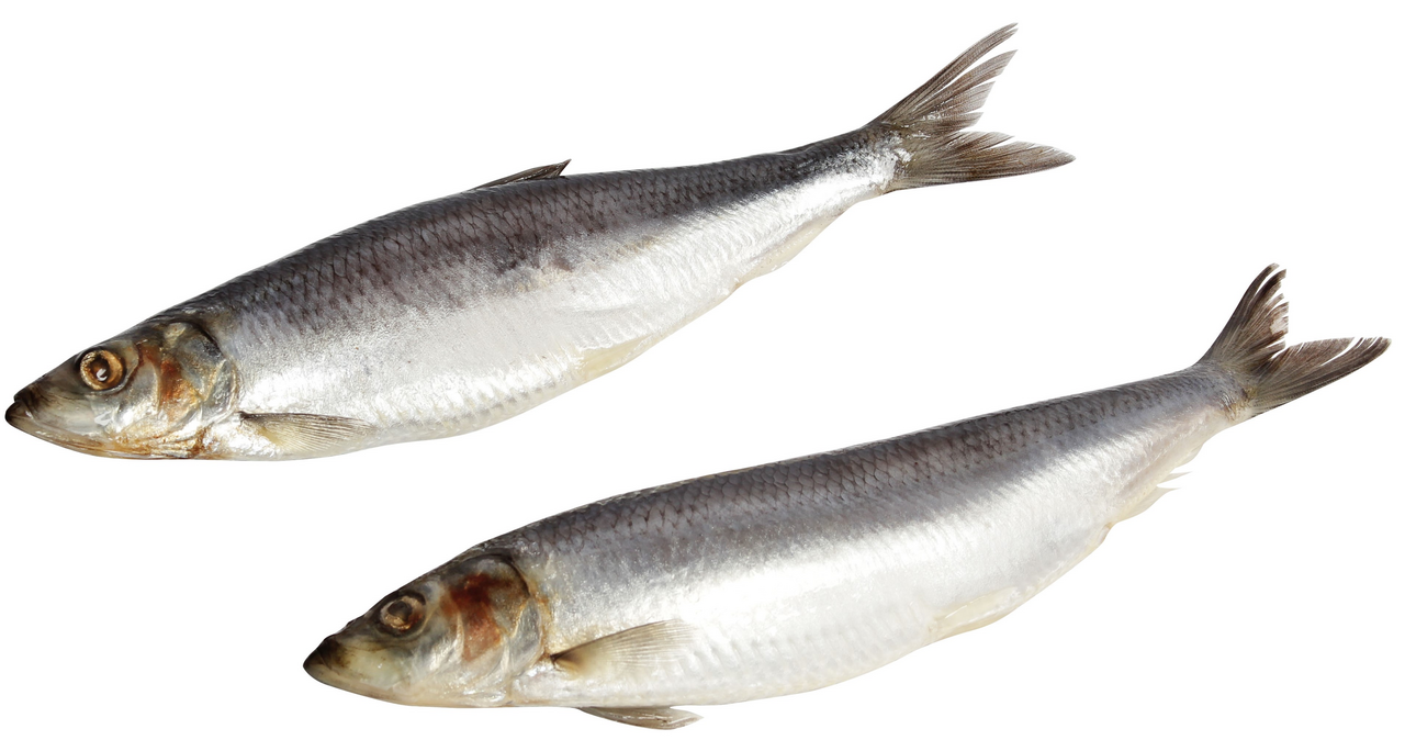 Сельдь Экстра Фиш слабосоленая, ~1кг