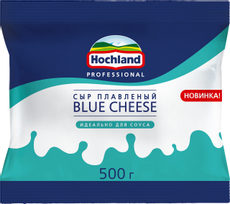 Сыр Hochland Professional Blue Cheese плавленый 45%, 500г