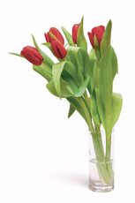 Букет тюльпаны, 5шт