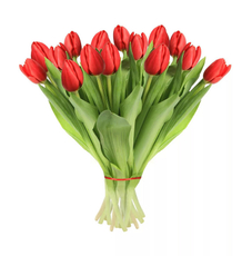 Букет тюльпаны, 25шт