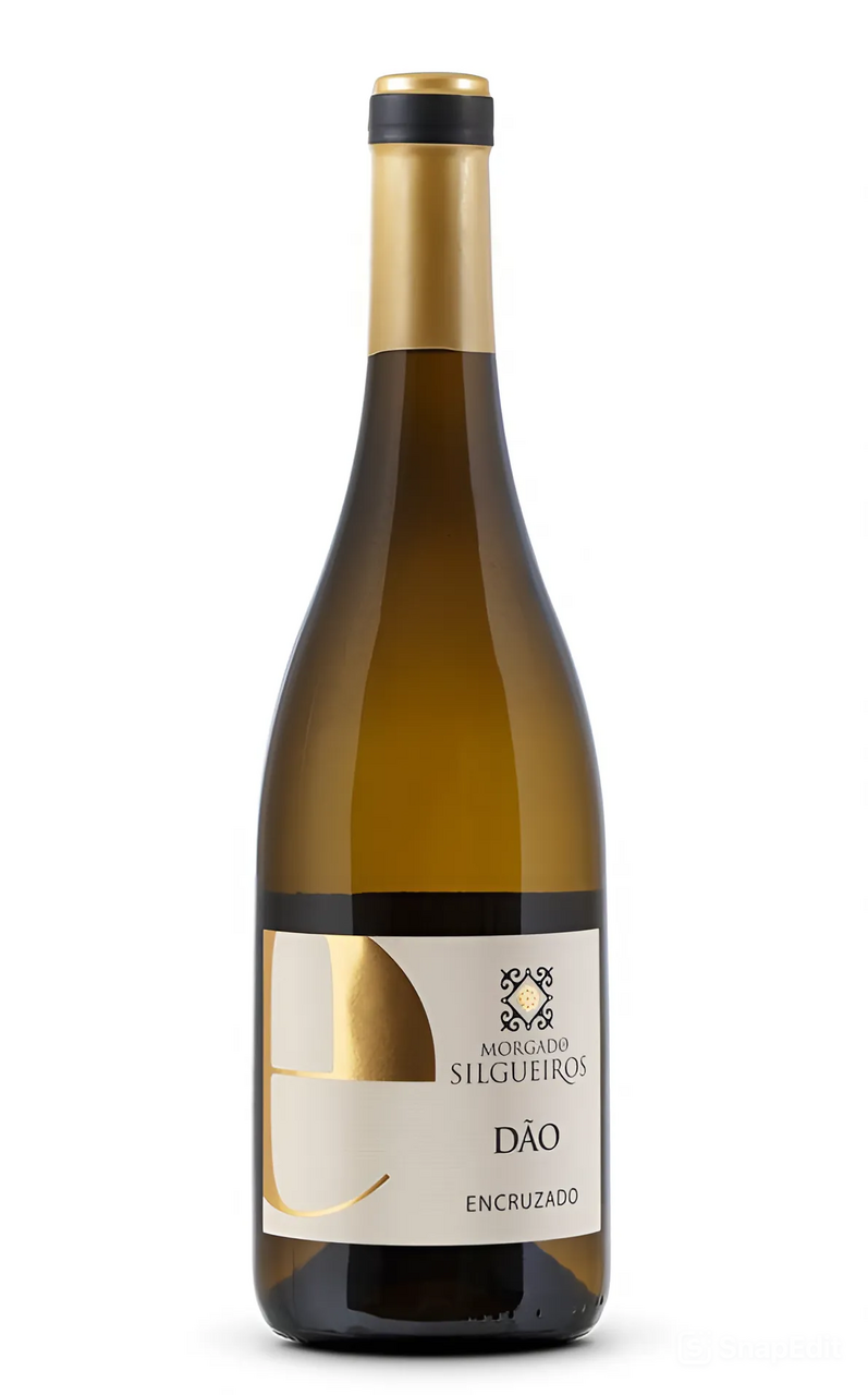Изображение товара Белое сухое вино Morgado De Silgueiros Encruzado 0.75л Португалия