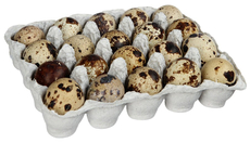 Яйцо перепелиное, 20шт