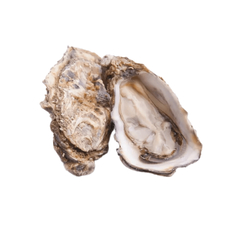 Устрицы Люмьер №2, 110г