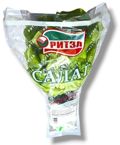 Салат Ритза маслянистый зеленый в горшочке